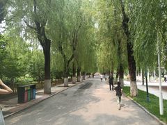 -哈尔滨文化公园