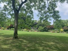 -西湖外事游船(花港观鱼码头)