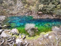 -叠溪松坪沟景区