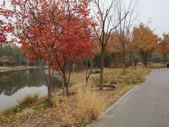 -东郊湿地公园