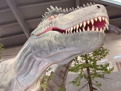 -湖南省地质博物馆