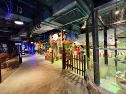 -酷嗒动物文化乐园(cutezoo西溪乐天城店)