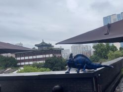 -斑斓色彩沙龙