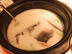 泉水珊瑚鱼头煲-小厨娘淮扬菜(六合欢乐港店)