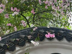 -深圳国际园林花卉博览园