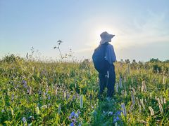 -白草畔自然风景区