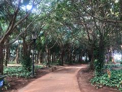 -白沙门生态公园