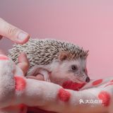 噢 总之一岁了好开心呐 麻麻爱你噢