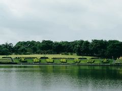 -东莞植物园