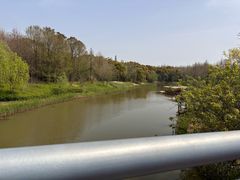 -上海长兴岛郊野公园