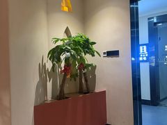 -九间泰·泰式古法按摩SPA(环贸iapm店)