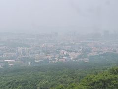 -紫金山山顶公园