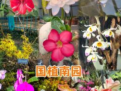 -国家植物园南园