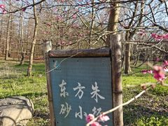 -上海海湾国家森林公园