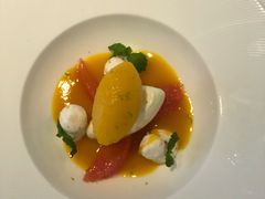 -蝶舍·MAISON PAPILLON