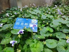 -国家植物园南园