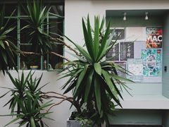 -NEA BAY咖啡馆