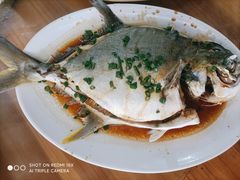 -明记海鲜大排档(巽寮湾店)