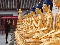 -护国法轮寺