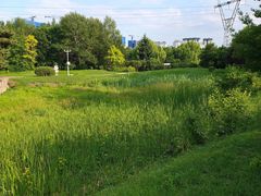-黑龙江省森林植物园