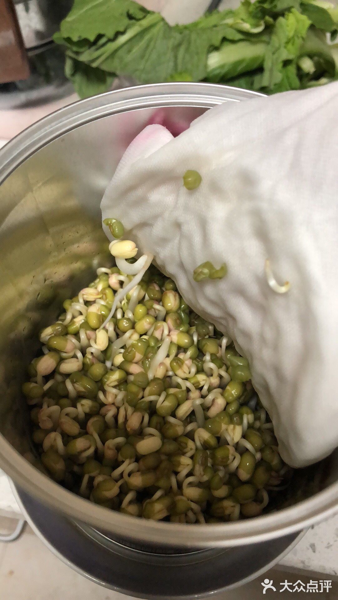 自己发个绿豆芽