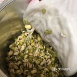 自己发个绿豆芽