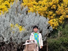 -威勒比开放式动物园