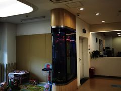 -美华丁香门诊部·全科·妇儿·口眼