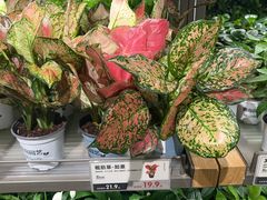 -鹿岛生活(熙地港店)