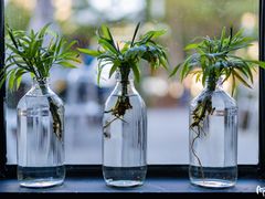 -Juicy Bakery(瑞景店)