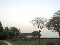 -大湾区中央湿地公园