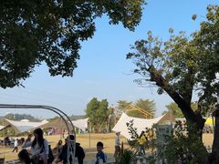 -长洲岛都市农业公园