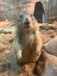 -Zoolung Zoolung动物主题公园(海信广场店)