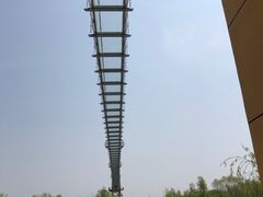 -微山湖红荷湿地景区