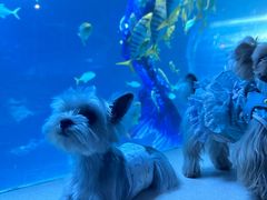 -太平洋海底世界