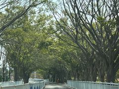 -草庵摩尼教遗址公园