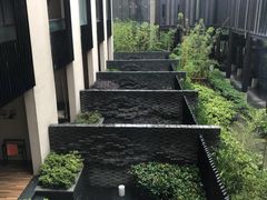 -上海崇明金茂凯悦酒店