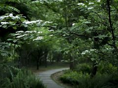 -成都杜甫草堂博物馆
