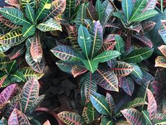 -北京植物园-展览温室