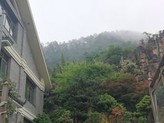 -老幺泉水鸡
