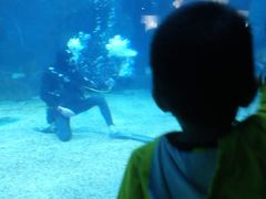 -石家庄海洋公园