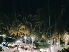 -日落吧·海景咖啡厅·餐酒吧·鸡尾酒·下午茶·乐队表演·浪漫夕阳·三亚文华东方酒店