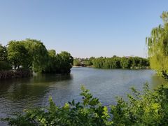 -济南大明湖景区