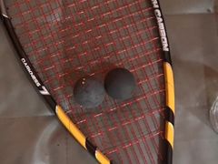 -健身专家Wellness Experts