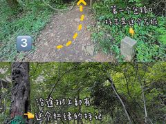-杭州西湖风景名胜区-满觉陇四眼井