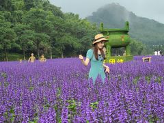 -广州市石门国家森林公园