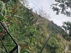 -呀诺达热带雨林