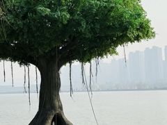 -咸阳湖景区