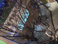 -羊门客在·烤盐池滩羊·川菜