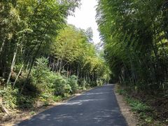 -莫干山风景区